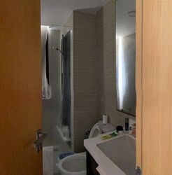 Blossom Residences (D23), Condominium #625954271